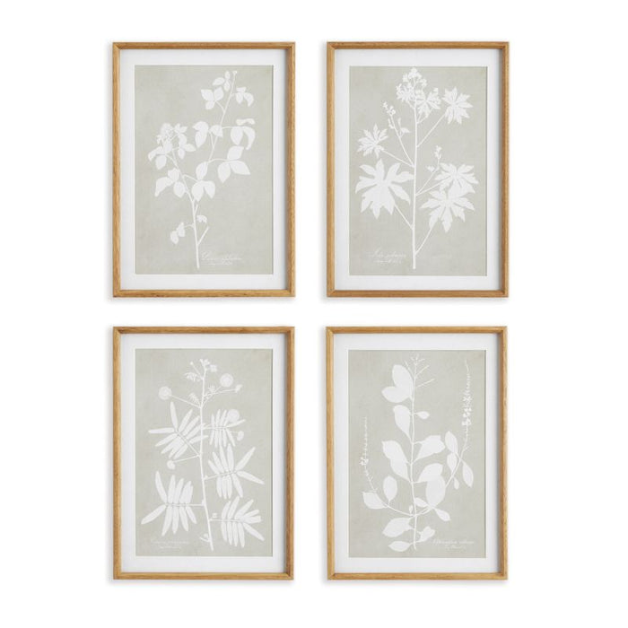FOLIAGE STUDY, SET OF 4 BY NAPA HOME & GARDEN