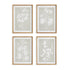 FOLIAGE STUDY, SET OF 4 BY NAPA HOME & GARDEN - A. Dodson's