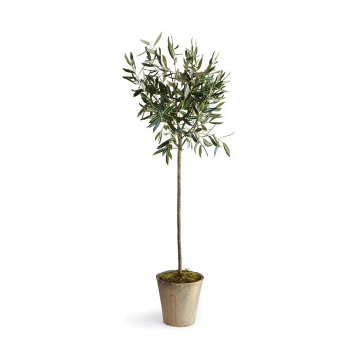 OLIVE TREE POTTED 46" BY NAPA HOME & GARDEN
