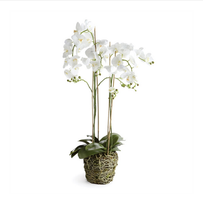 PHALAENOPSIS ORCHID DROP-IN 44" BY NAPA HOME & GARDEN