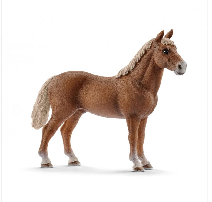 MORGAN HORSE STALLION BY SCHLEICH