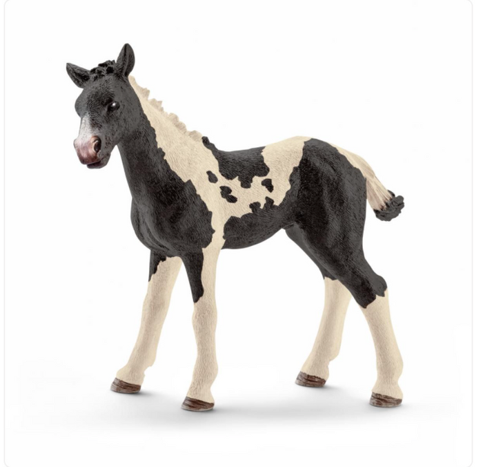 PINTO FOAL BY SCHLEICH