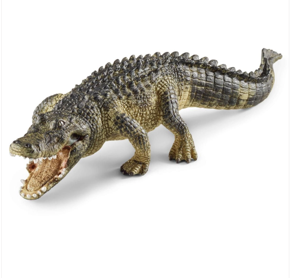 ALLIGATOR BY SCHLEICH - A. Dodson's