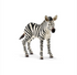ZEBRA FOAL BY SCHLEICH - A. Dodson's
