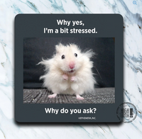 A BIT STRESSED COASTER