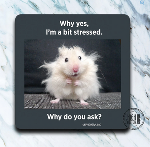 Coasters