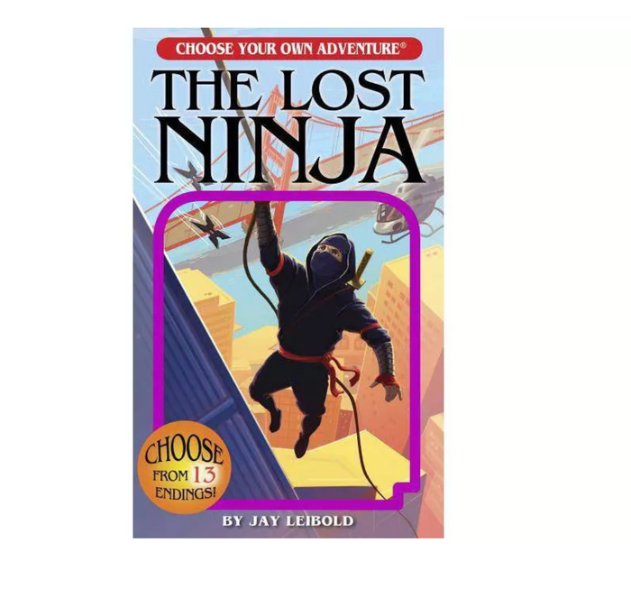 CHOOSE YOUR OWN ADVENTURE BOOK - THE LOST NINJA