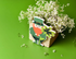 HAPPY EVERYTHING LEPRECHAUN MINI ATTACHMENT - A. Dodson's