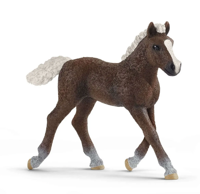 BLACK FOREST FOAL BY SCHLEICH