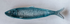 CERAMIC SARDINE PLATE - A. Dodson's