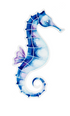 Coastal Screen Savers - A. Dodson's