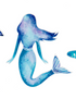 Coastal Screen Savers - A. Dodson's