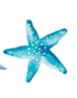 Coastal Screen Savers - A. Dodson's