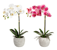 18" Artificial Orchid in Ceramic Pot Table Décor, 2 Colors
