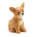 Pick Me Dog Pick Holder with 20 Picks Assorted 3 Designs - A. Dodson's