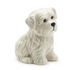 Pick Me Dog Pick Holder with 20 Picks Assorted 3 Designs - A. Dodson's