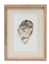 Framed Wall Decor with Oyster, 4 Styles - A. Dodson's
