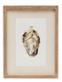 Framed Wall Decor with Oyster, 4 Styles - A. Dodson's