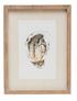 Framed Wall Decor with Oyster, 4 Styles - A. Dodson's