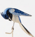 Long Tailed Bird on Stand, 5 Styles - A. Dodson's