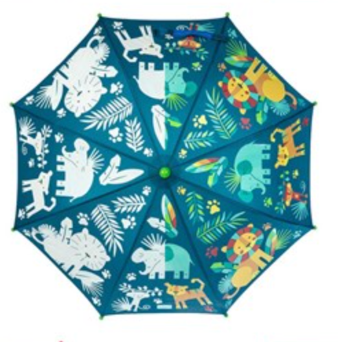 COLOR CHANGING UMBRELLAS - A. Dodson's