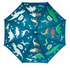 COLOR CHANGING UMBRELLAS - A. Dodson's