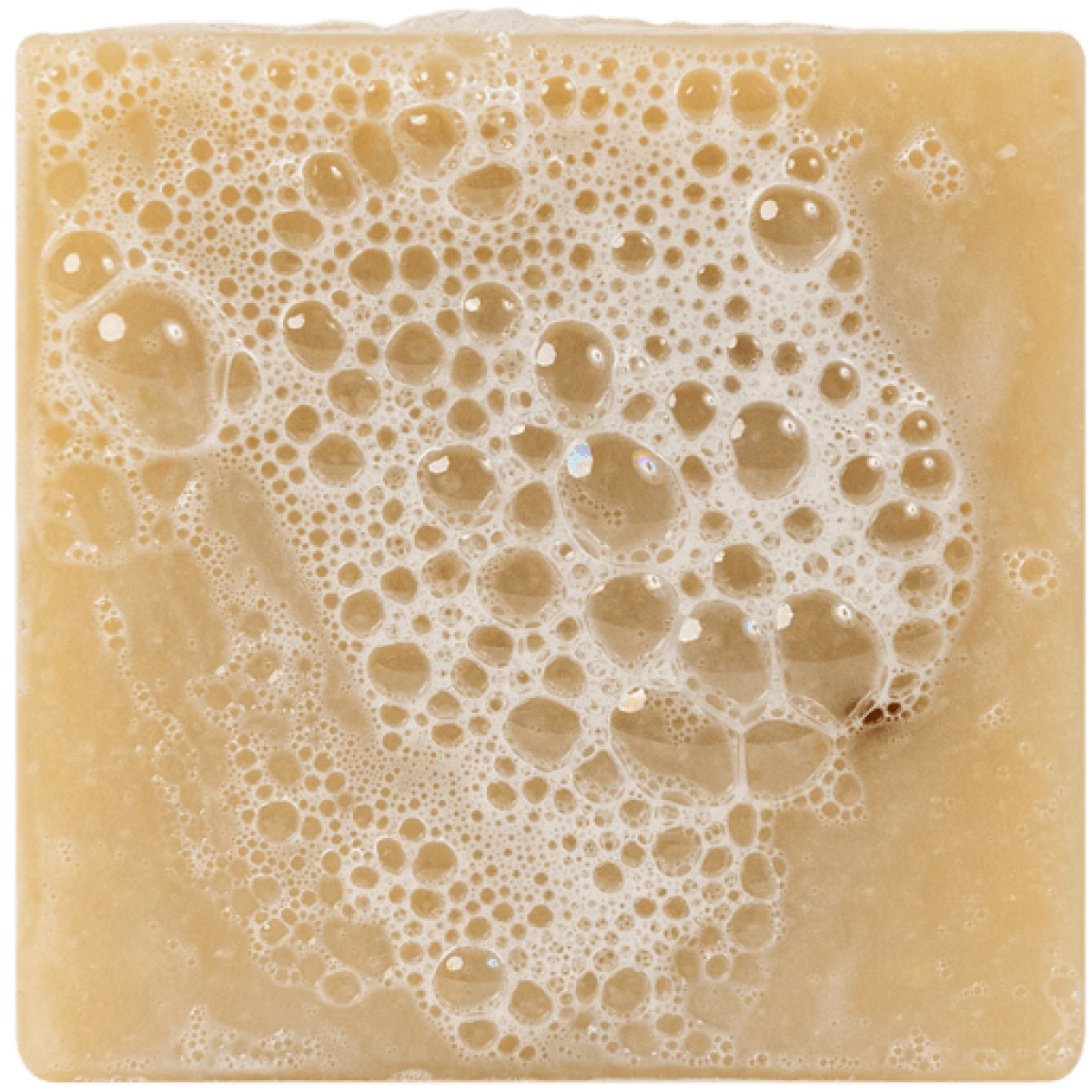 DR. SQUATCH BAR SOAP - SPEARMINT BASIL - A. Dodson's