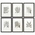 FRAMED GRAY-TONE FERN PRINTS, SET OF 6 BY NAPA HOME & GARDEN - A. Dodson's