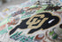 UNIVERSITY OF COLORADO BOULDER PILLOW BY CATSTUDIO - A. Dodson's