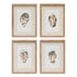 Framed Wall Decor with Oyster, 4 Styles - A. Dodson's