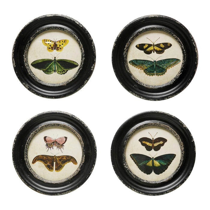 Framed Wall Decor with Moths/Butterflies Image, 4 Styles