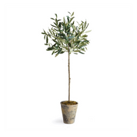 OLIVE TREE POTTED 30" BY NAPA HOME & GARDEN