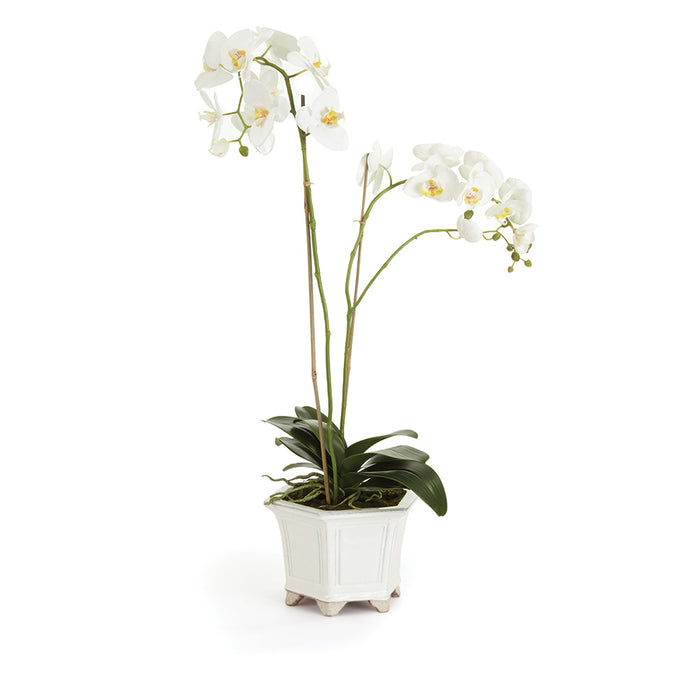 BARCLAY BUTERA PHALAENOPSIS IN CERAMIC POT 31" BY NAPA HOME & GARDEN