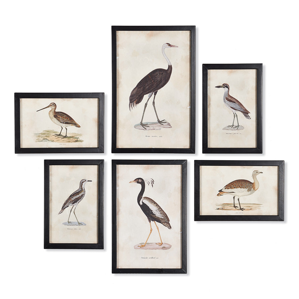 WATERFOWL GALLERY SET OF 6 BY NAPA HOME & GARDEN - A. Dodson's