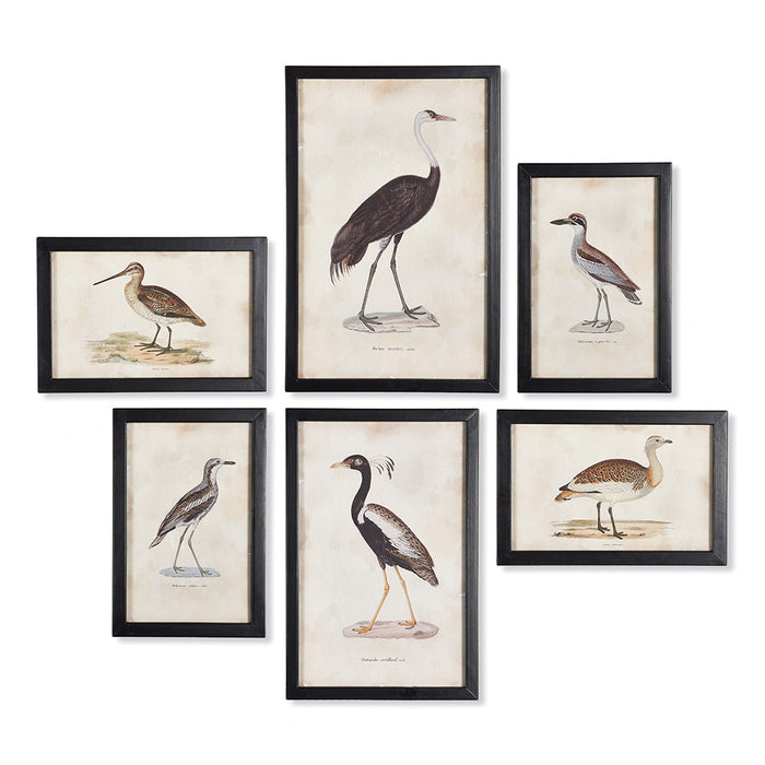 WATERFOWL GALLERY SET OF 6 BY NAPA HOME & GARDEN