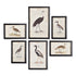WATERFOWL GALLERY SET OF 6 BY NAPA HOME & GARDEN - A. Dodson's