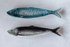 CERAMIC SARDINE PLATE - A. Dodson's