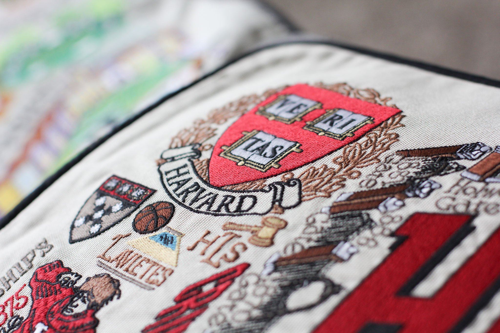 HARVARD UNIVERSITY PILLOW BY CATSTUDIO - A. Dodson's