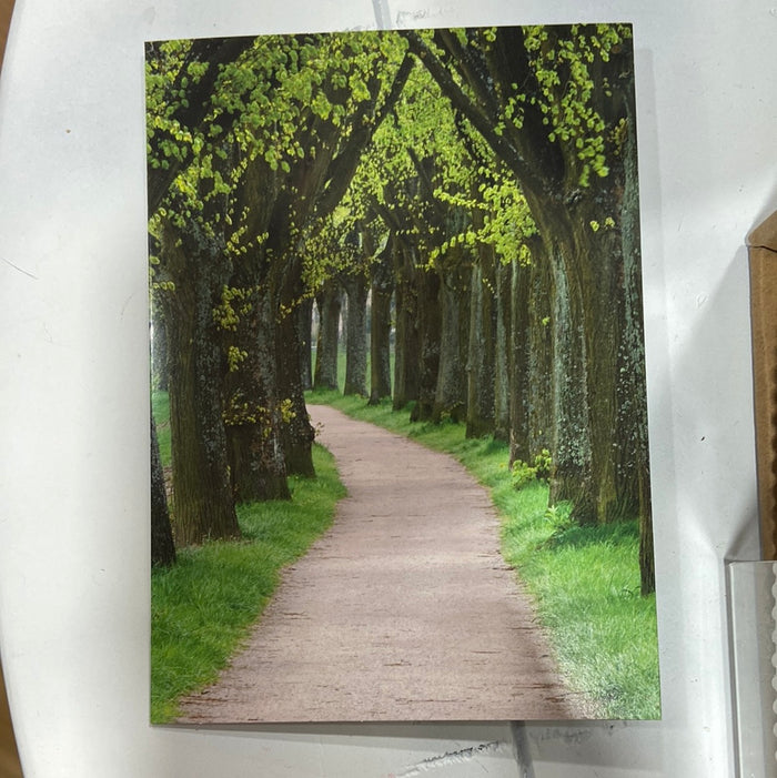 TREE LINED PATH CARD