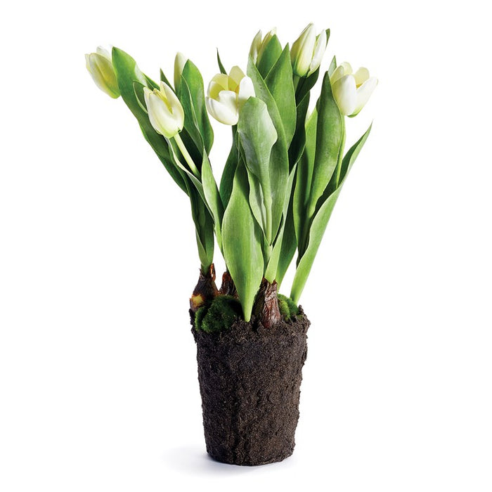TULIP DROP-IN 22" BY NAPA HOME & GARDEN