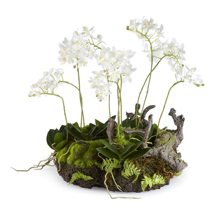MINI DENDROBIUM WITH RUSTIC DROP-IN 16" BY NAPA HOME & GARDEN