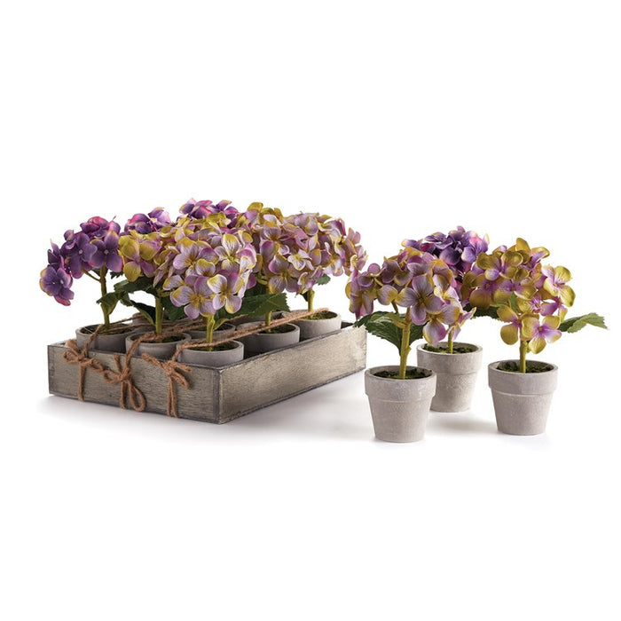 MINI HYDRANGEA POTTED 6.5", SET OF 12 BY NAPA HOME & GARDEN