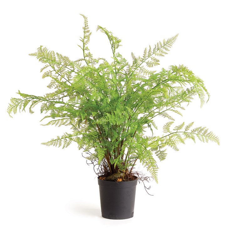 SOFT FERN DROP-IN 36" BY NAPA HOME & GARDEN