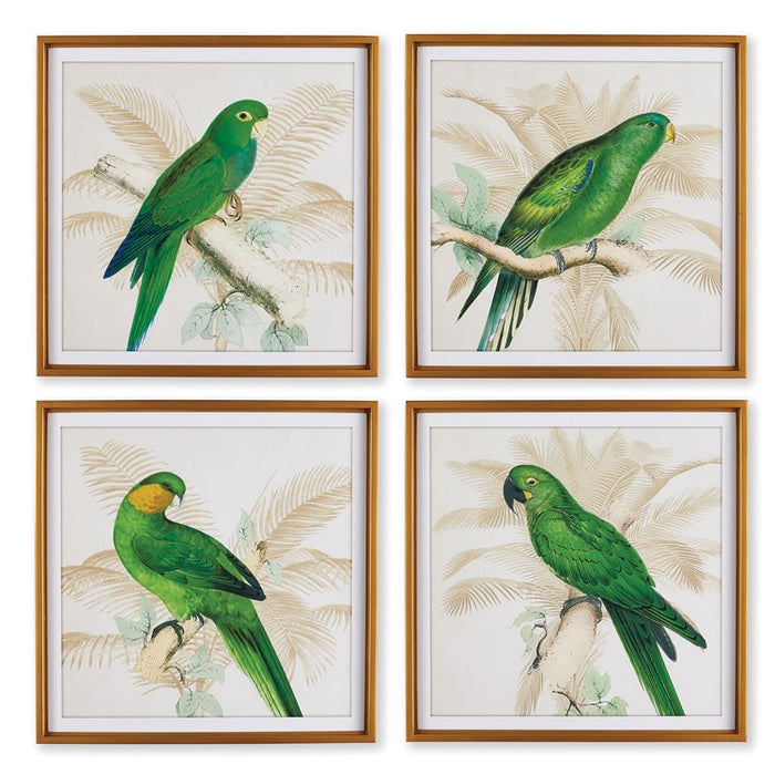 GREEN PARROTS STUDY, SET OF 4 BY NAPA HOME & GARDEN