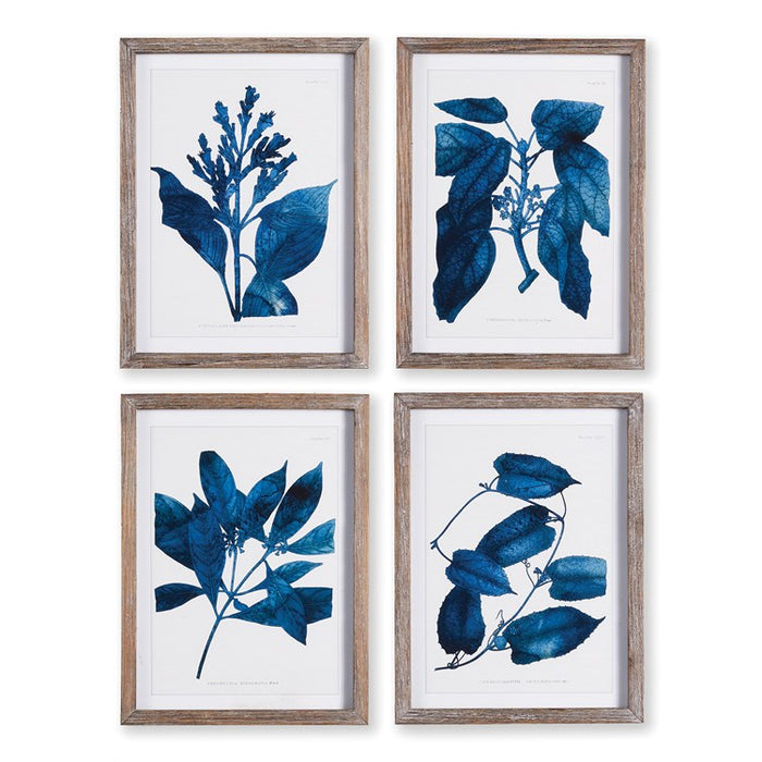 INDIGO BOTANICALS, SET OF 4 BY NAPA HOME & GARDEN