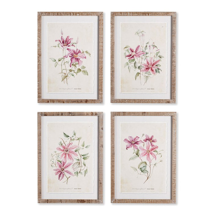 PINK CLEMATIS PRINTS, SET OF 4 BY NAPA HOME & GARDEN
