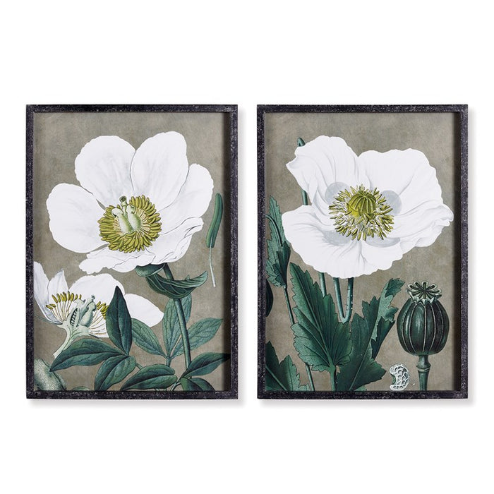 POPPY PRINTS, SET OF 2 BY NAPA HOME & GARDEN