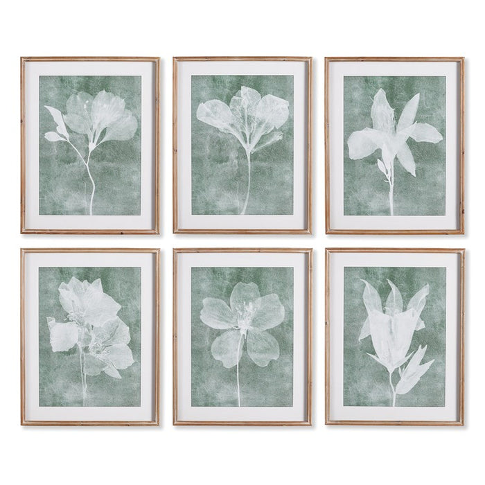 TRANSLUCENT FLORAL PRINTS, SET OF 6 BY NAPA HOME & GARDEN