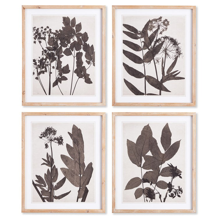 PRESSED FOLIAGE PRINTS, SET OF 4 BY NAPA HOME & GARDEN