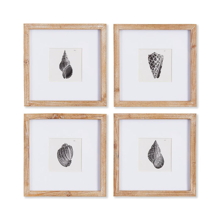 SEASHELL PETITE PRINTS, SET OF 4 BY NAPA HOME & GARDEN